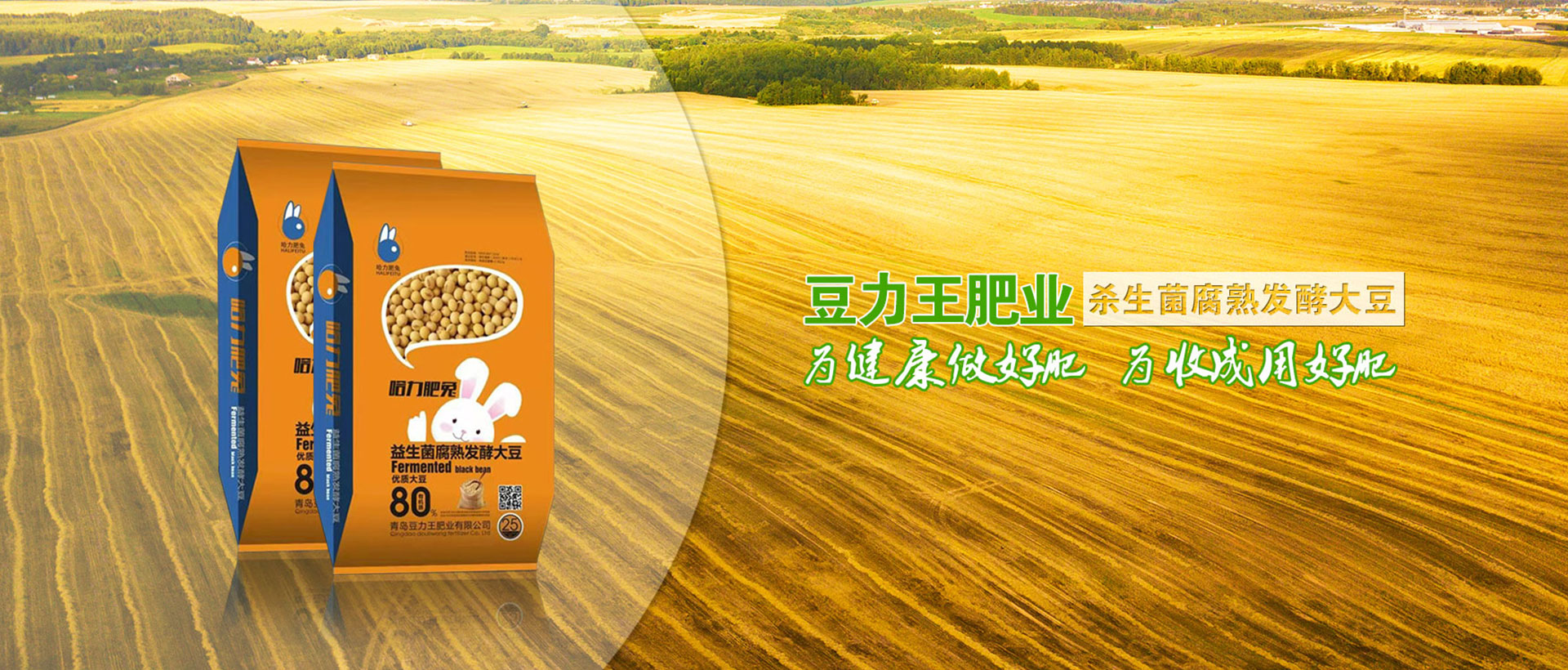 青岛豆力王肥业有限公司