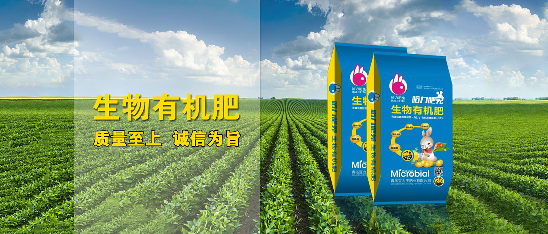 青岛豆力王肥业有限公司